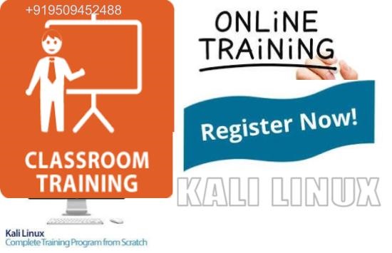kali linux training